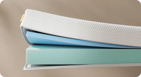 Tecnología Motion Transfer